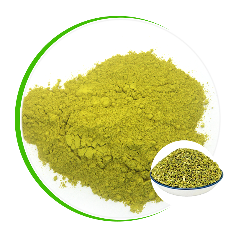 China Factory Offer Natural Sophora Japonica Extract Quercetin