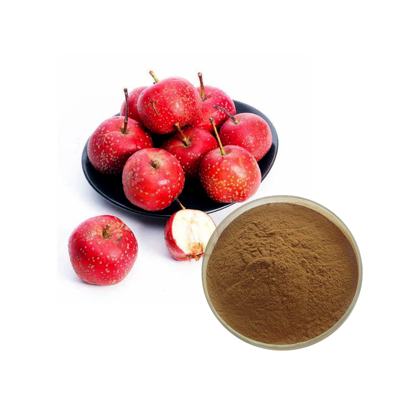 china-hawthorn-berry-extract-factory-and-manufacturers-ruiwo