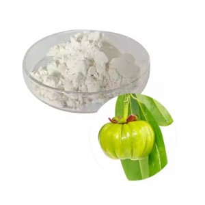 https://www.ruiwophytochem.com/garcinia-cambogia-extract-product/