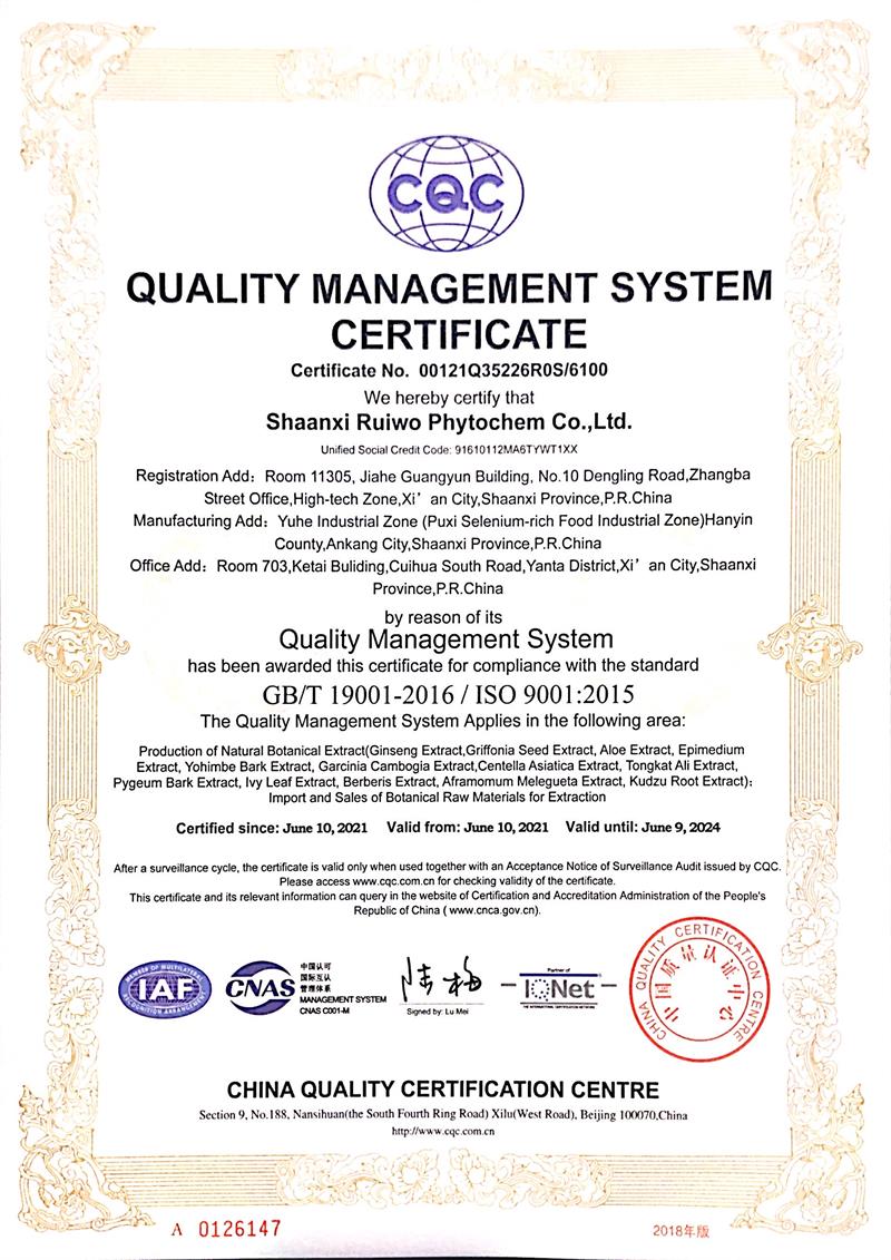 ISO9001