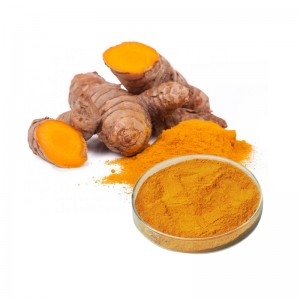 Turmeric Extract